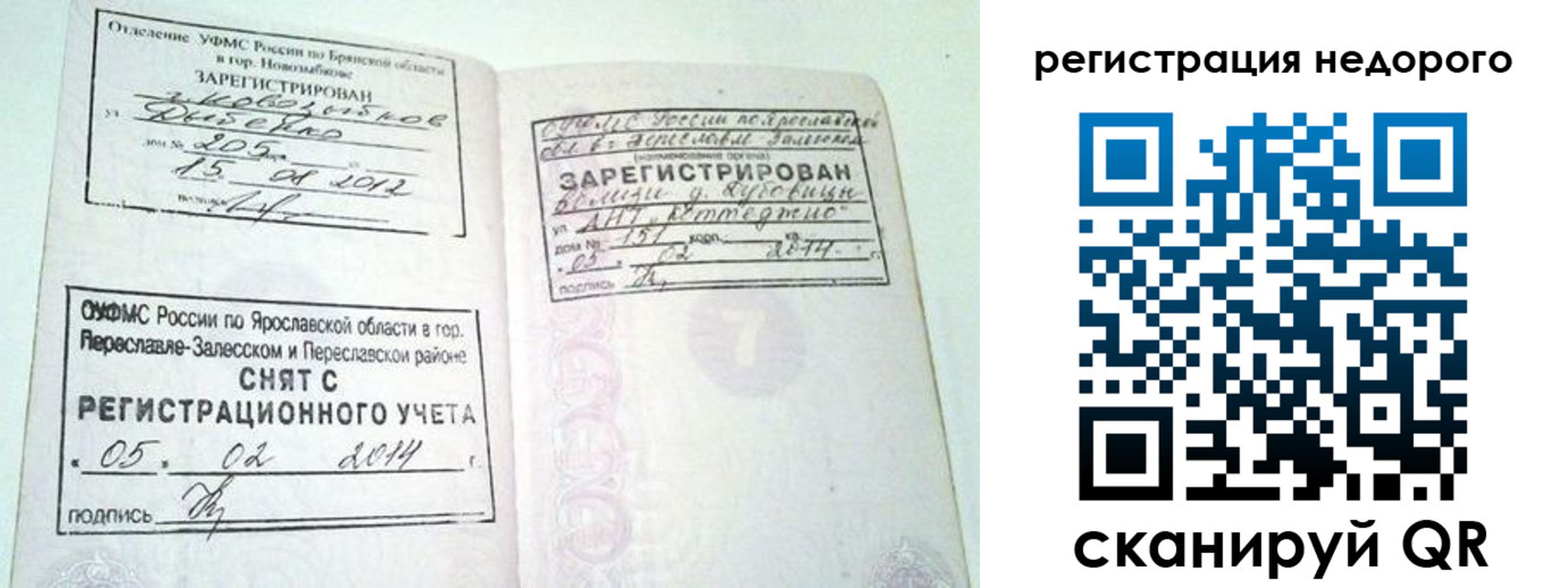 прописка поиск в Абинске